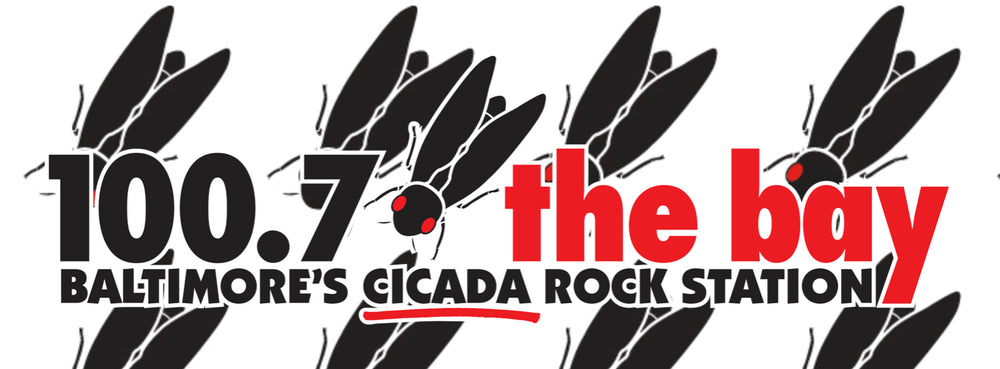 Cicada Gear on 100.7 The Bay & in the Shop