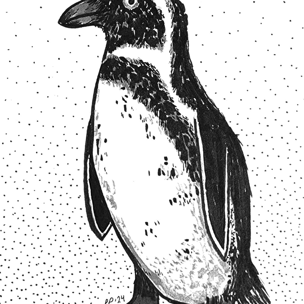 penguin_pp2crop1.jpg