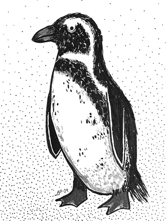 penguin_pp2crop1.jpg