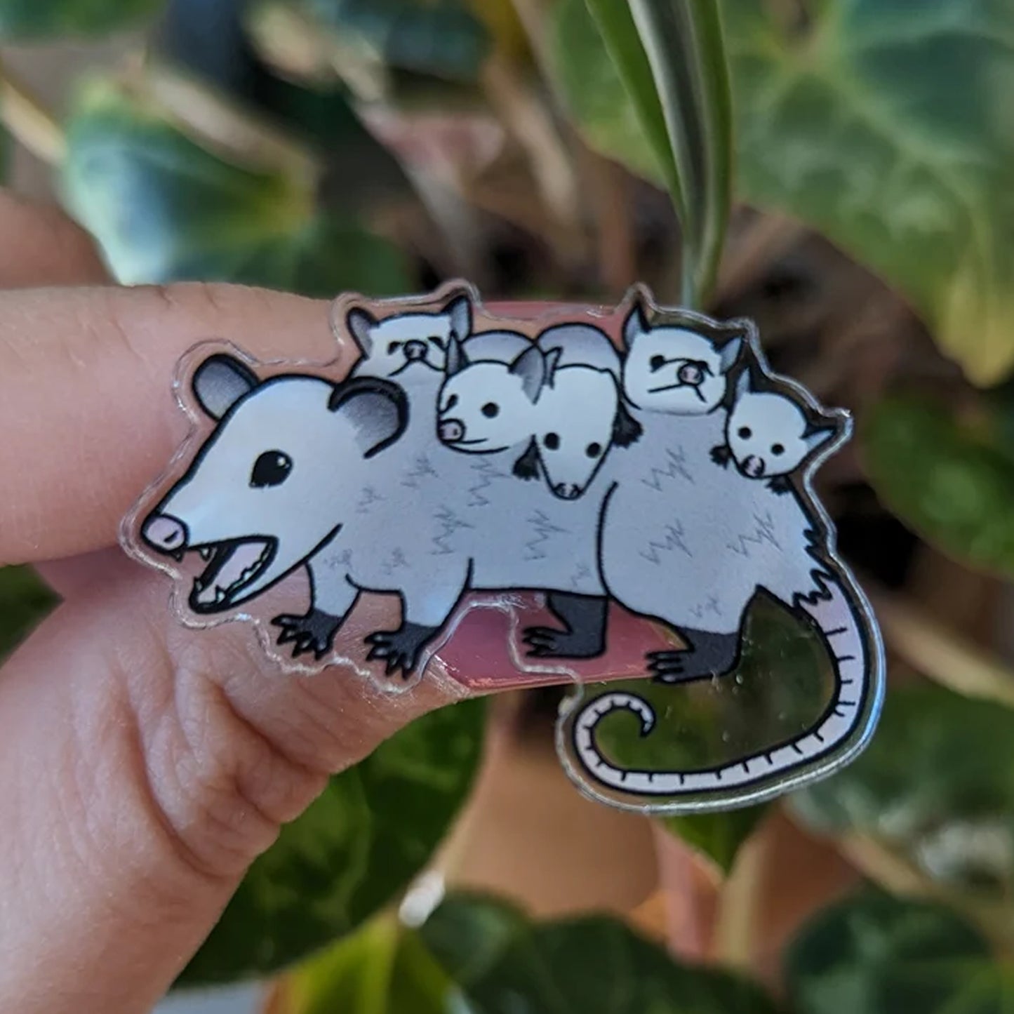 Possum Mama Mia Pin