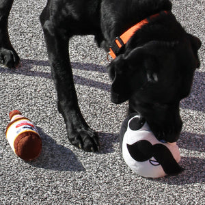 Natty Boh Bottle / Dog Toy - Route One Apparel