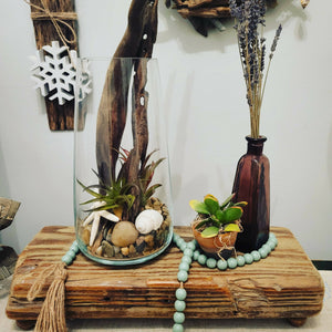 
            
                Load image into Gallery viewer, Driftwood &amp;amp; Air Plant Terrarium
            
        