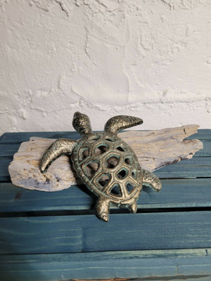 
            
                Load image into Gallery viewer, Bronze Turtle on Driftwood
            
        