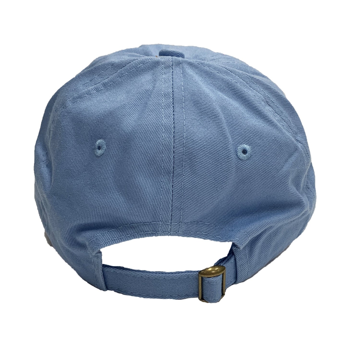 Salty (Sky Blue) / Baseball Hat - Route One Apparel