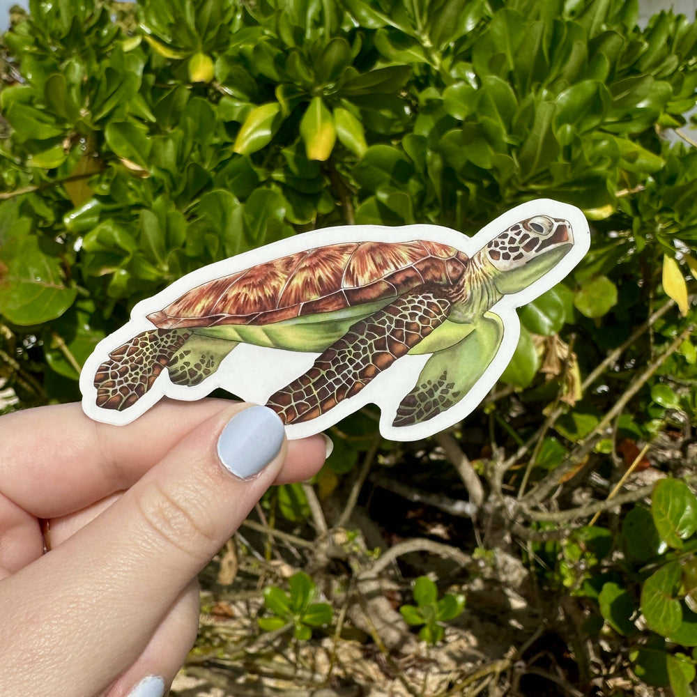 
            
                Load image into Gallery viewer, Sea Turtle Clear Sticker
            
        